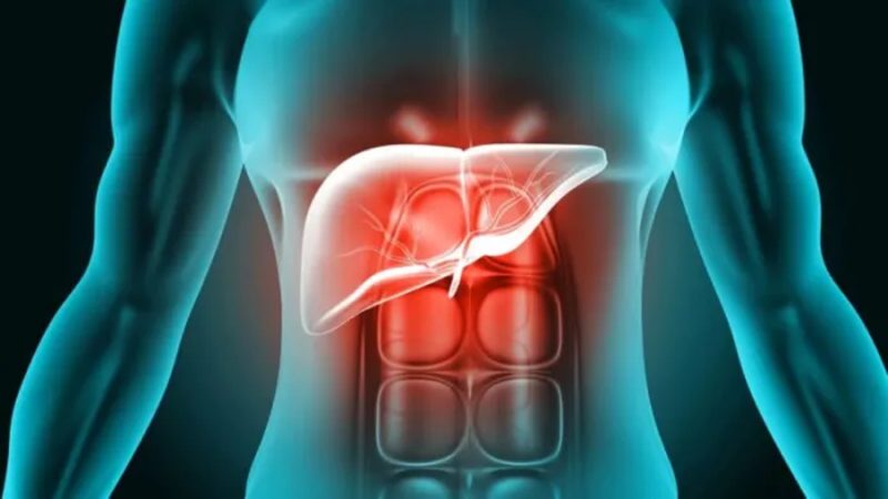 Crean un ‘páncreas artificial’ que produce insulina dentro del cuerpo