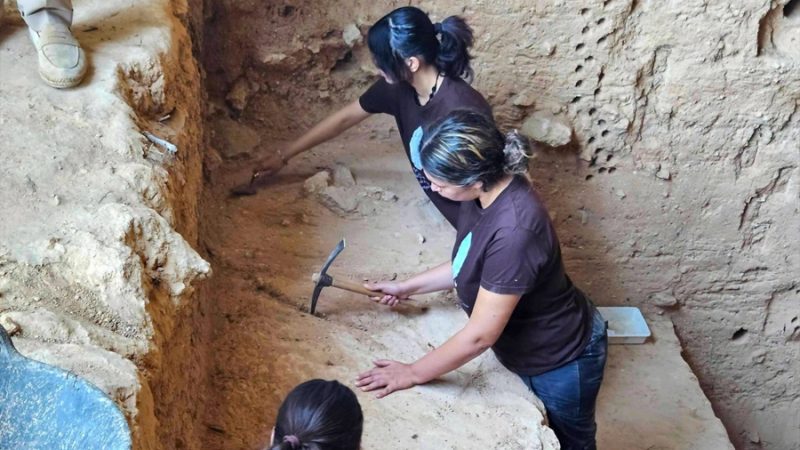 Las excavaciones en la Cueva Negra de Caravaca descubren un hueso maxilar de un oso extinguido