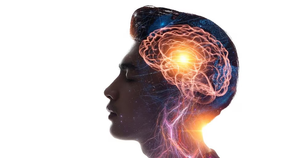 Aprender idiomas podría mantener un cerebro más joven, según un estudio