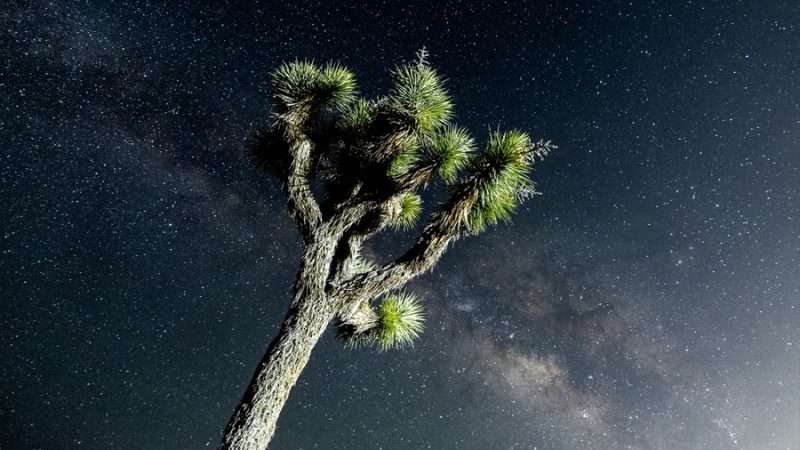 Científicos encuentran un curioso material que flota en el espacio y podría cambiar radicalmente la búsqueda de vida