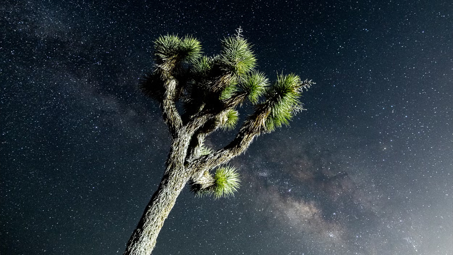 Científicos encuentran un curioso material que flota en el espacio y podría cambiar radicalmente la búsqueda de vida