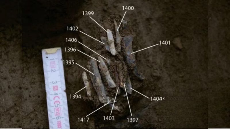 Los hombres del Paleolítico también tenían caja de herramientas: así viajaban los cazadores por Europa