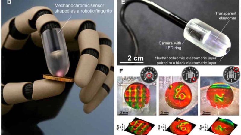 Investigadores crean un material que cambia de color al tacto y reproduce hasta los detalles de una huella digital