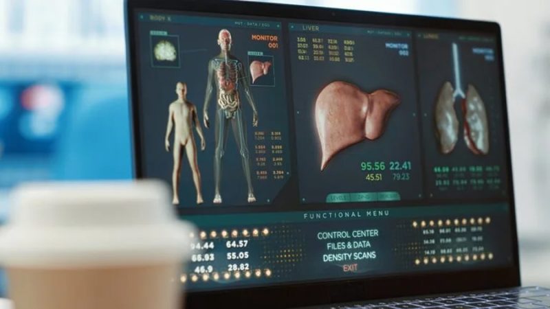 Nueva tecnología mejoraría la evaluación del hígado de donantes antes del trasplante