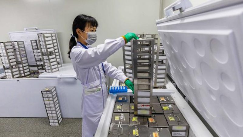 Crean un atlas con más 92 millones de elementos del ADN que controlan los genes humanos