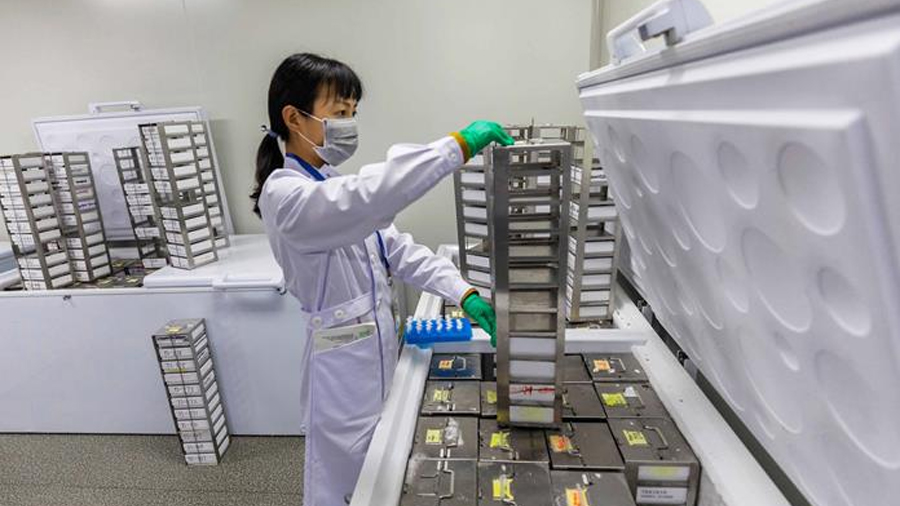 Crean un atlas con más 92 millones de elementos del ADN que controlan los genes humanos