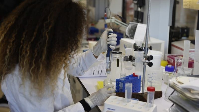 Microalgas, la apuesta de investigadoras mexicanas para crear colorantes ecológicos