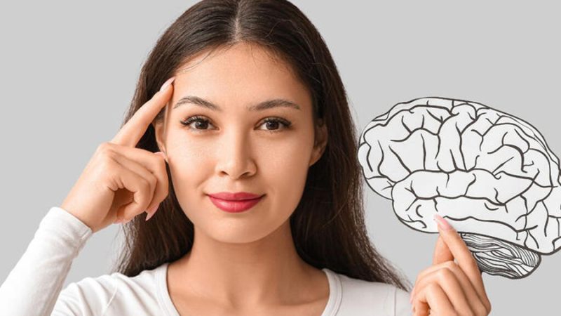 Investigadores descubren los cuatro momentos clave cuando cambia el cerebro: a los 9, 32, 66 y 83 años esto pasa