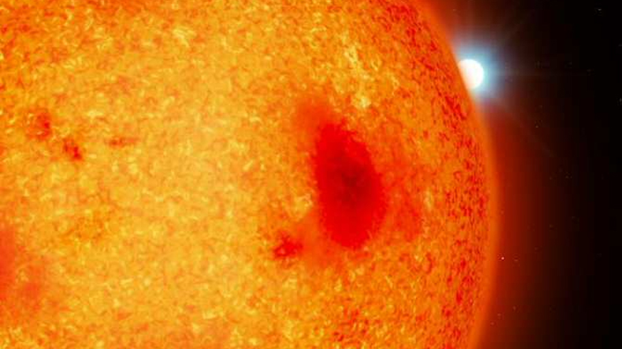 Descubren más estrellas muertas en nuestro vecindario estelar