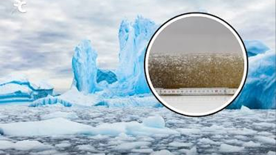 Investigadores descubren qué impulsó la formación del hielo en la Antártida Oriental