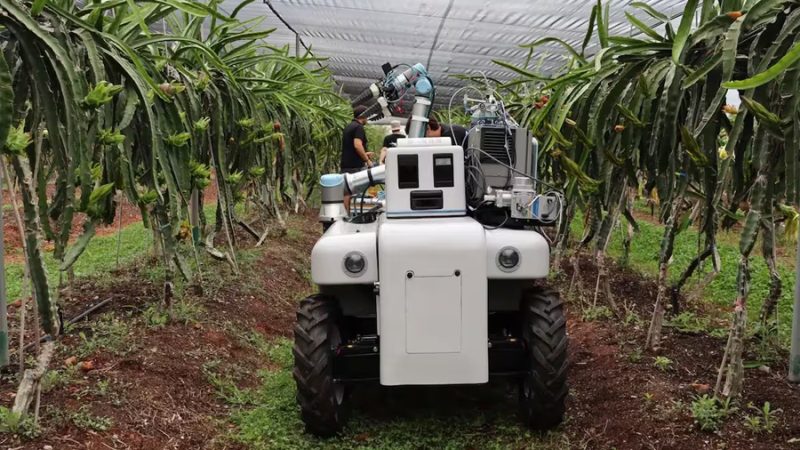 Investigadores crean DragonBot, un robot agrícola de bajo costo que identifica frutas maduras sin dañarlas y podría transformar la cosecha en México