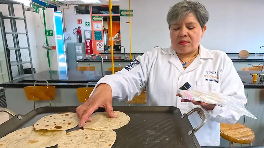 Tortillas más nutritivas y menos calóricas, la UNAM innova con receta