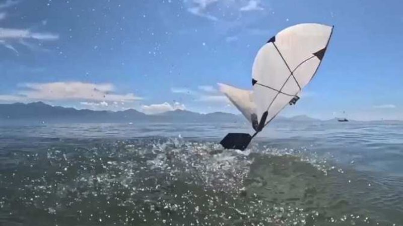 Robot volador y subacuático