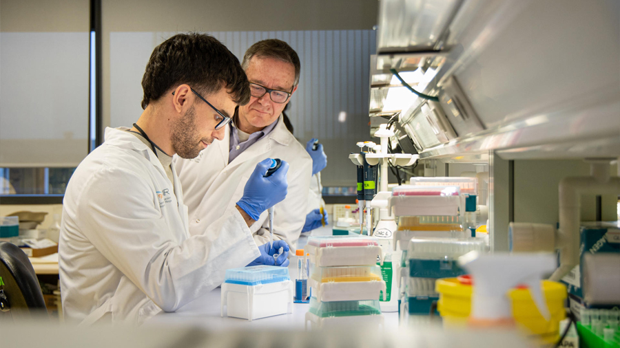 Identifican la disminución de una hormona como desencadenante de diabetes tipo 2