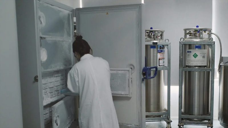 Investigación destapa que niña de 6 años murió en China tras someterse a terapia genética experimental