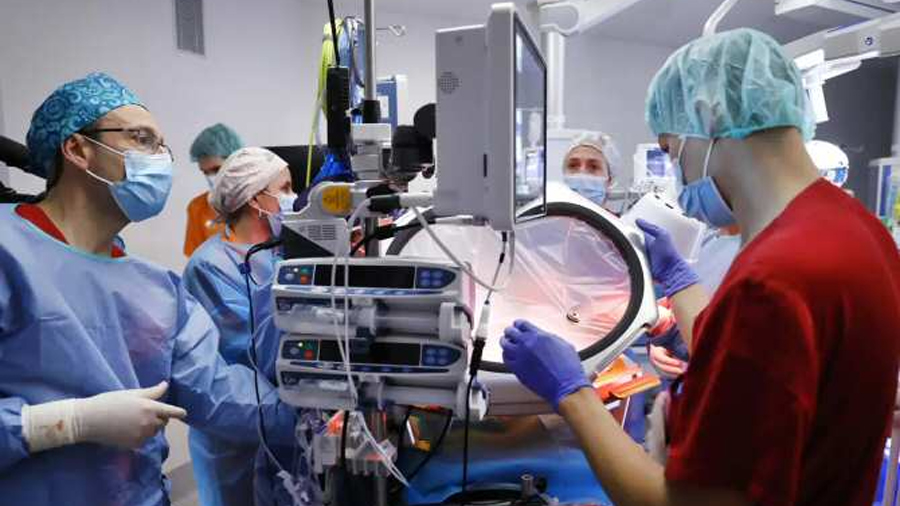 Progresos en una incubadora líquida para bebes muy prematuros