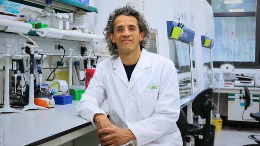 Hallazgo inesperado sobre la barrera hematoencefálica