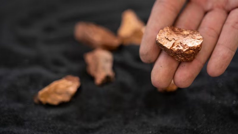 Descubren una planta que produce oro puro y se puede cultivar en las casas