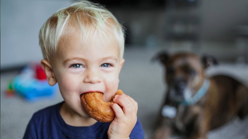Un fármaco en ensayo logra que uno de cada tres niños con múltiples alergias tolere alimentos prohibidos