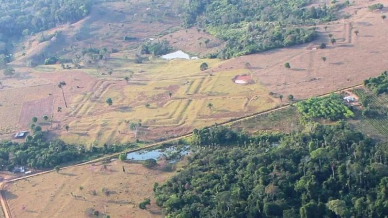 Descubren cientos de glifos ocultos en el suroeste del Amazonas y revelan una historia más compleja