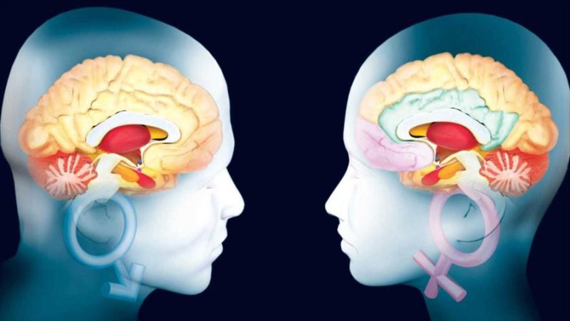 Detectan diferencias entre hombre y mujer en las proteínas en sangre en la enfermedad de Alzheimer