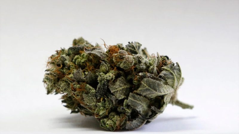 Nuevas investigaciones relacionan un posible aumento de la hormona del estrés al amanecer con el consumo habitual de cannabis