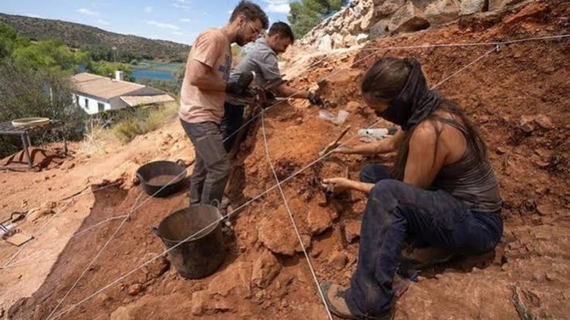 Descubren fósil de cráneo humano que revela pistas sobre la evolución