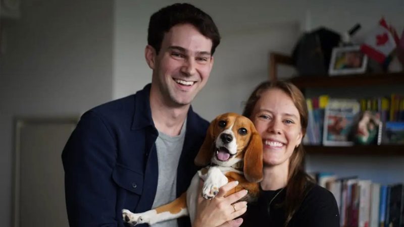¿Perros sin alergias? Científicos crean beagles ‘hipoalergénicos’ con edición genética