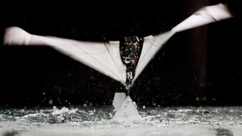 Robot anfibio (FAAV): vuela, nada y despega del agua como un ave