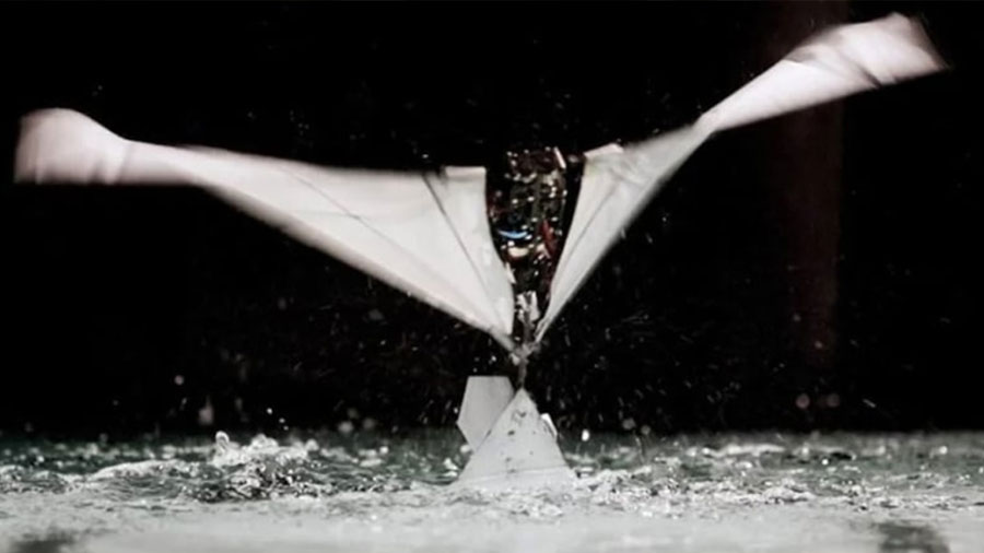 Robot anfibio (FAAV): vuela, nada y despega del agua como un ave