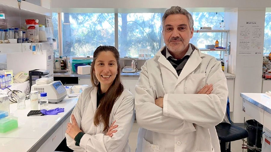 Desarrollan un software clave para el estudio del parásito que genera el Chagas