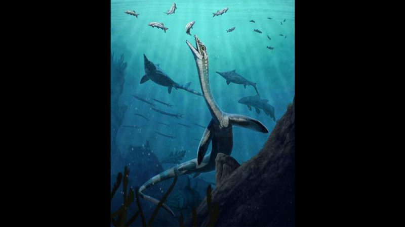 El sistema digestivo de un reptil marino, preservado tras 245 millones de años