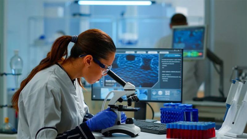 Investigadores israelíes descubren un gen antiguo que mejora la calidad nutricional del trigo
