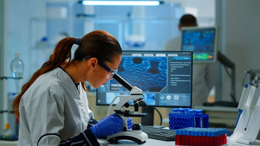 Investigadores israelíes descubren un gen antiguo que mejora la calidad nutricional del trigo