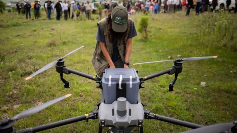Semarnat probará drones con semillas para impulsar la reforestación en México