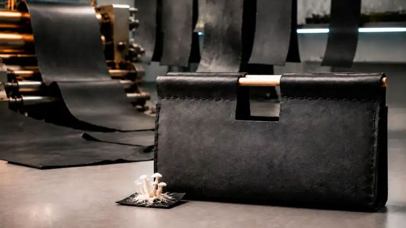 El ‘cuero’ del futuro nace de los hongos: es resistente, puede fabricarse a gran escala y desaparece en apenas 6 semanas