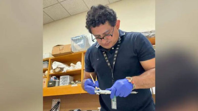¡Orgullo poblano! Investigador de Chignahuapan descubre nueva especie de sapo de la Edad de Hielo en Los Ángeles