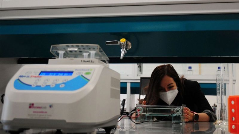 La generación Z: el diamante en bruto que puede renovar a la ciencia