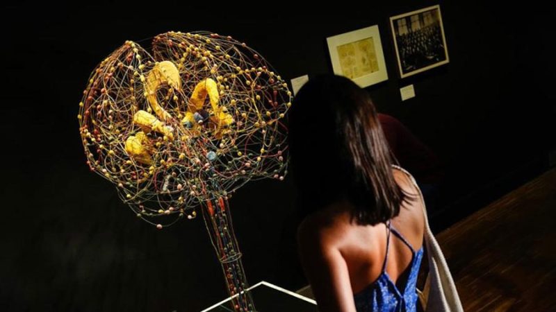 El verdadero origen del cerebro humano