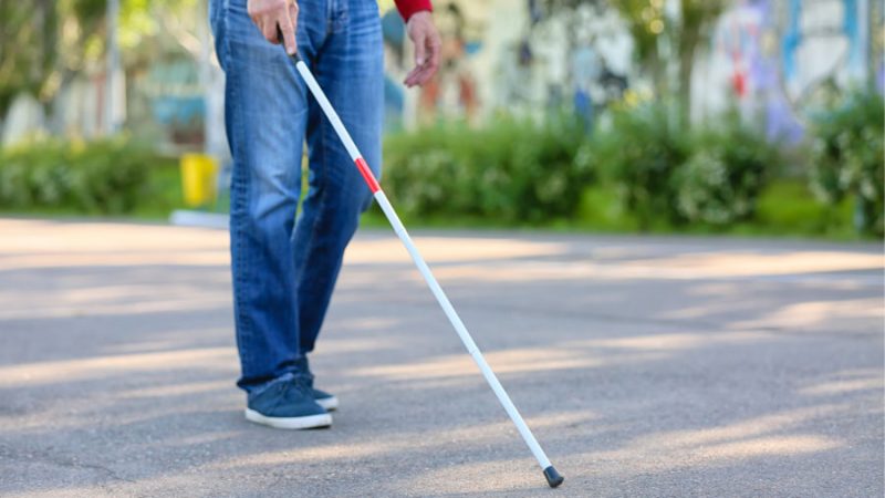 Investigadores de Harvard crean aplicación comparable a guía humano para personas no videntes