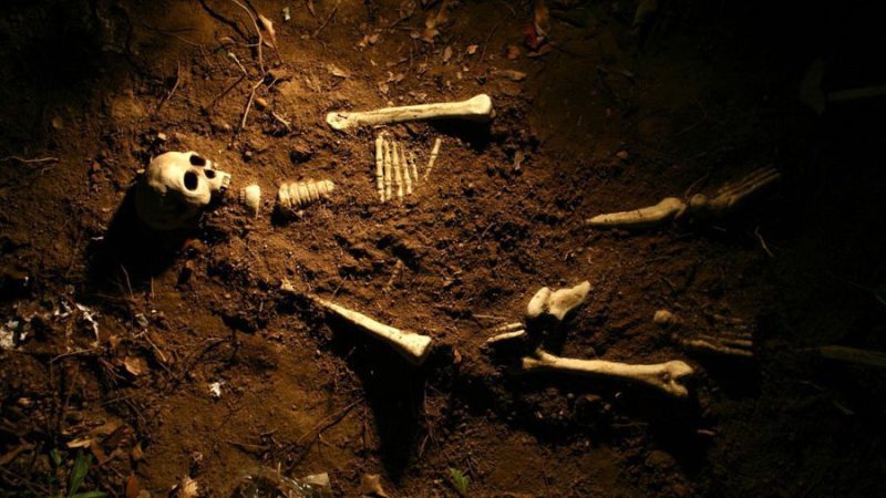 ‘Plantean riesgos sanitarios y de bioseguridad’: crean en Internet un mercado para momias y restos humanos