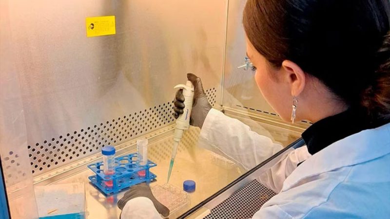 Científicos argentinos crean un test de sangre para detectar trastornos del neurodesarrollo en niños
