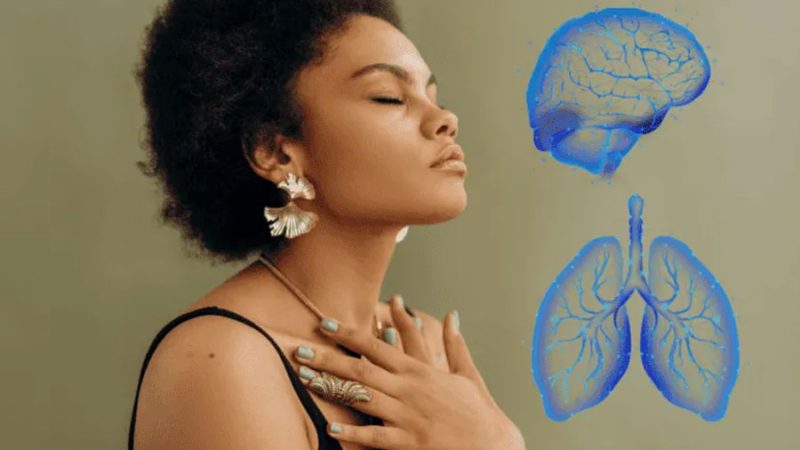 Estudio descubre cómo la respiración altera las ondas cerebrales