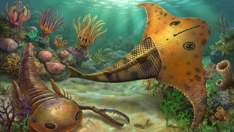 Descubren al ‘pez Batman’, un vertebrado de hace más de 400 millones de años