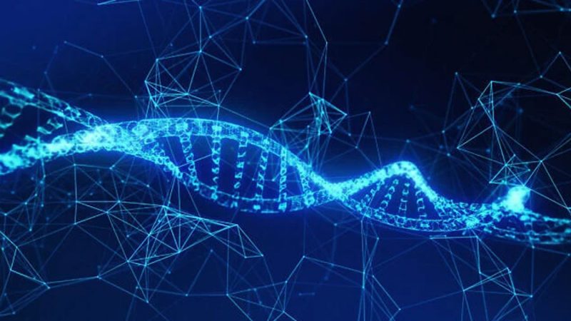 Estudio israelí sobre el cáncer descubre que las mutaciones dañan el ADN cuando este no se curva