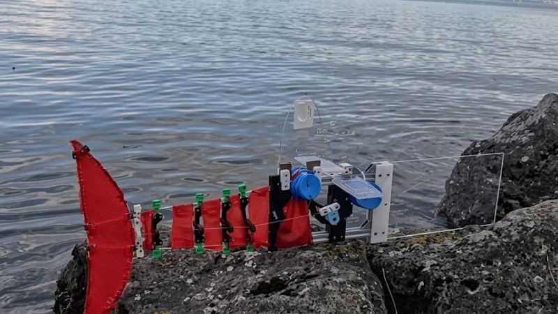 Robot pez vigilará ecosistemas