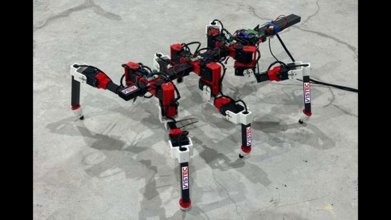 Un robot de seis patas aprende a caminar de un insecto palo