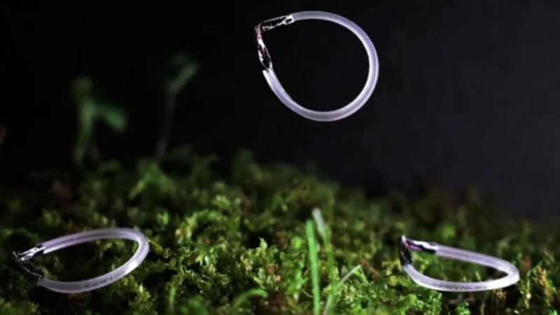 Crean robots blandos que pueden saltar una y otra vez mientras reciban luz infrarroja