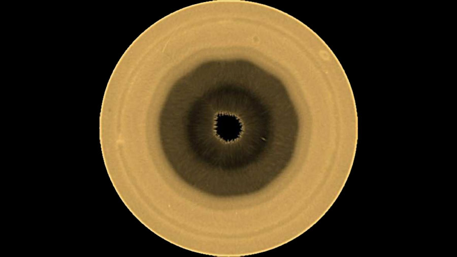 Descubren una estructura en forma de decágono en las nubes de Saturno