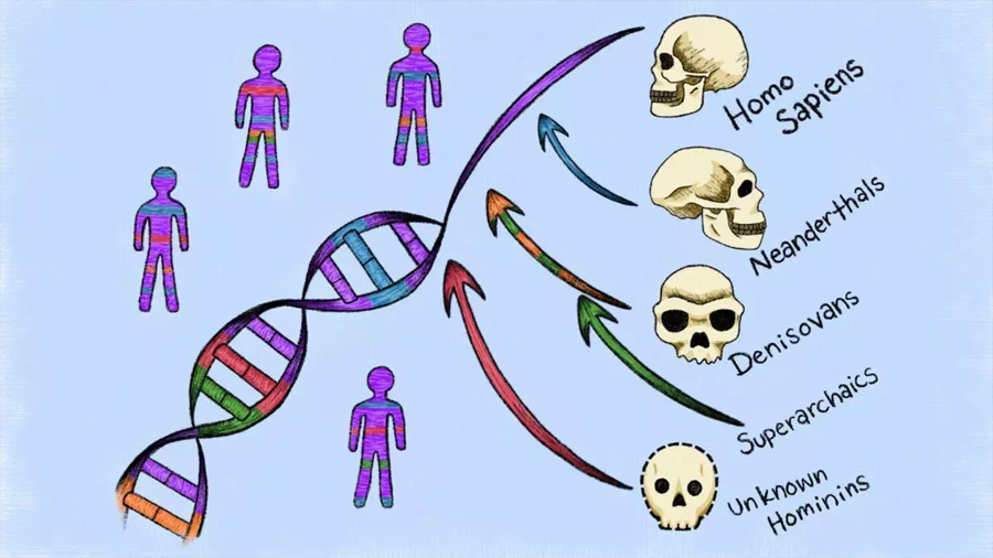 Descubren ancestros fantasma ocultos en el ADN humano